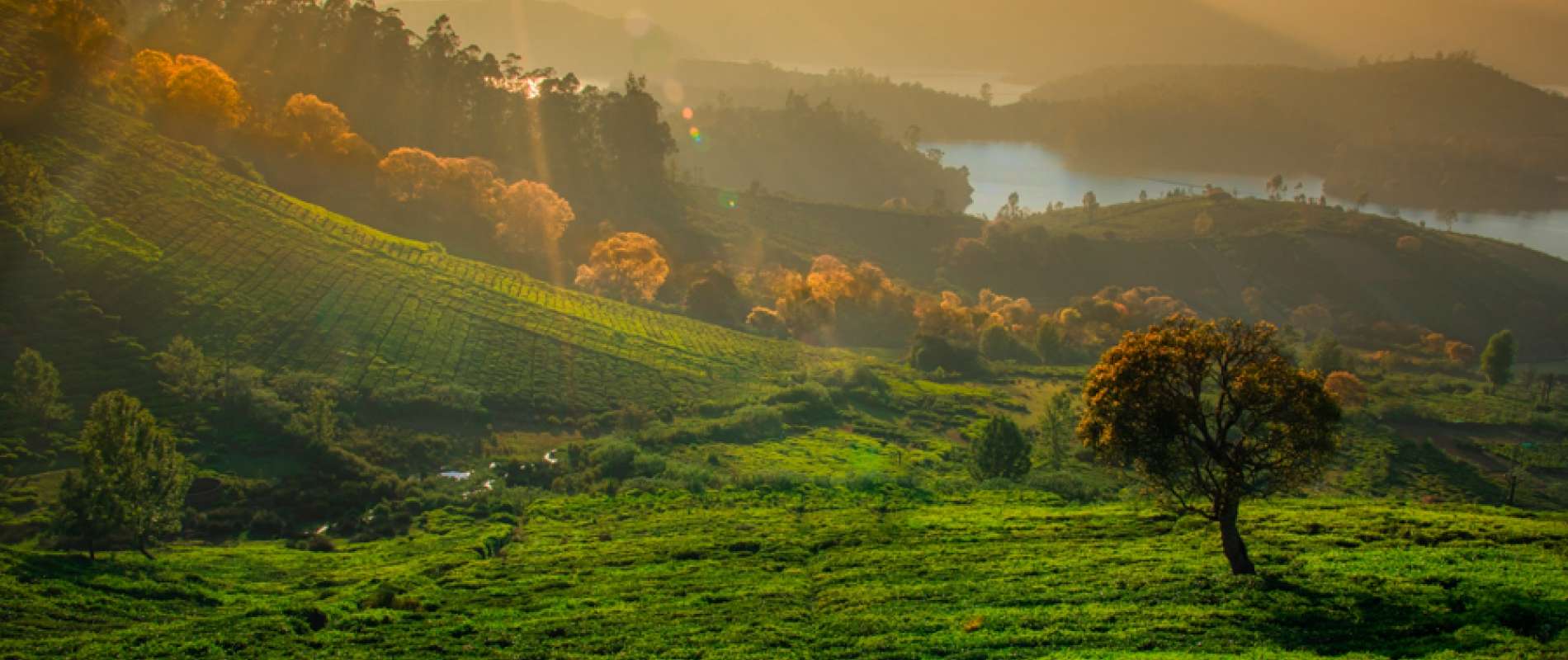 Glimpse of Ooty