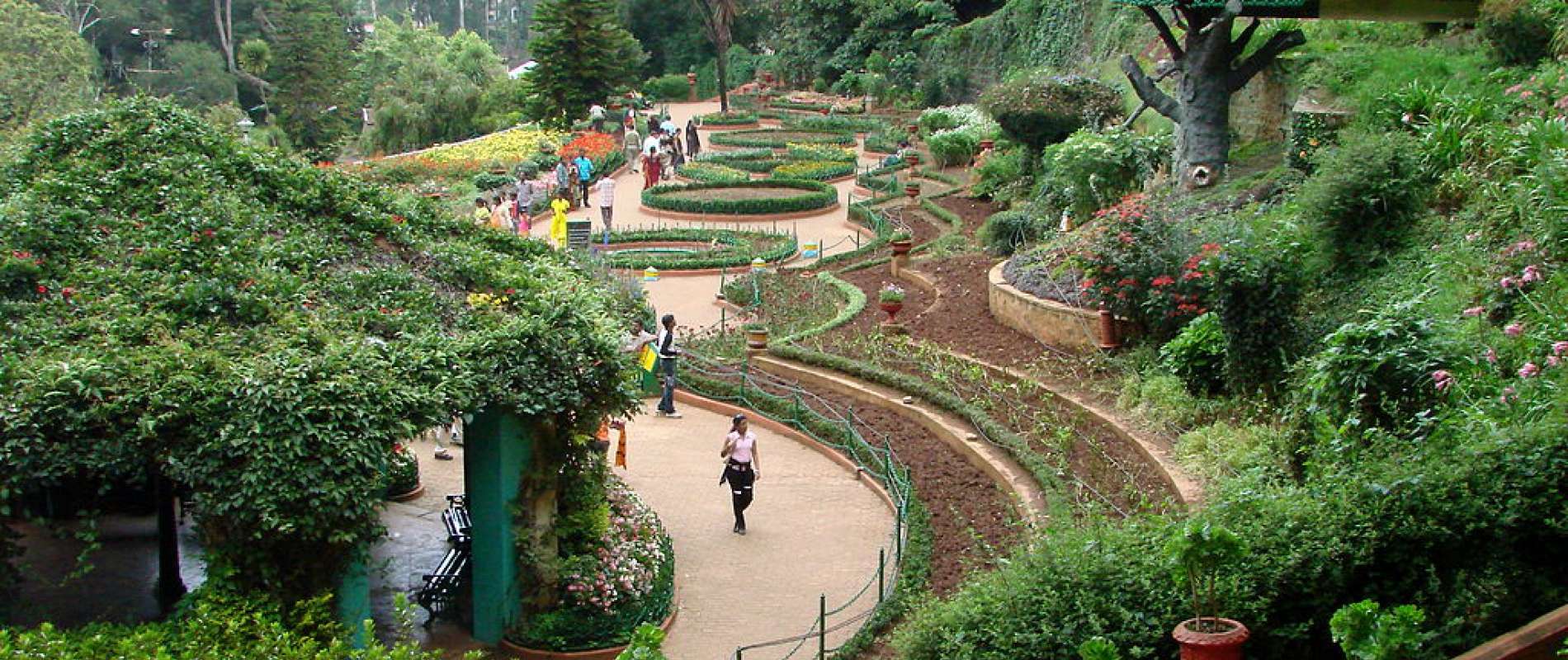 Peaceful Ooty Holiday Package